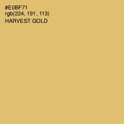 #E0BF71 - Harvest Gold Color Image